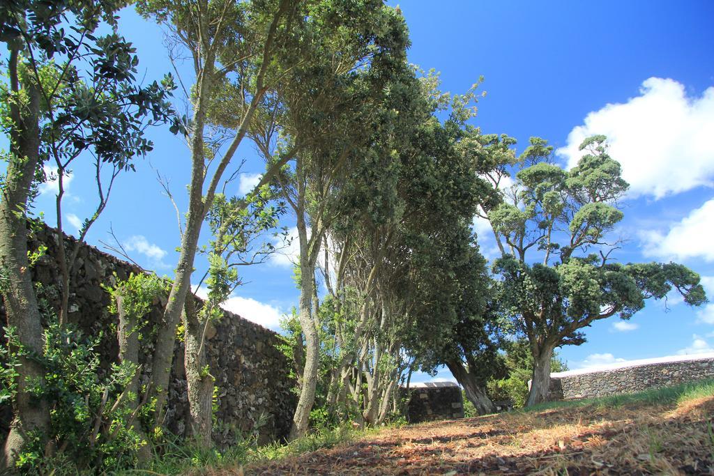 Santana Houses Rabo de Peixe ห้อง รูปภาพ